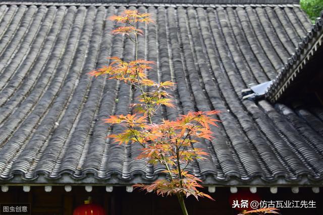 導(dǎo)讀：農(nóng)村蓋房用樹脂瓦適合嗎？聽完行家的分析，恍然大悟