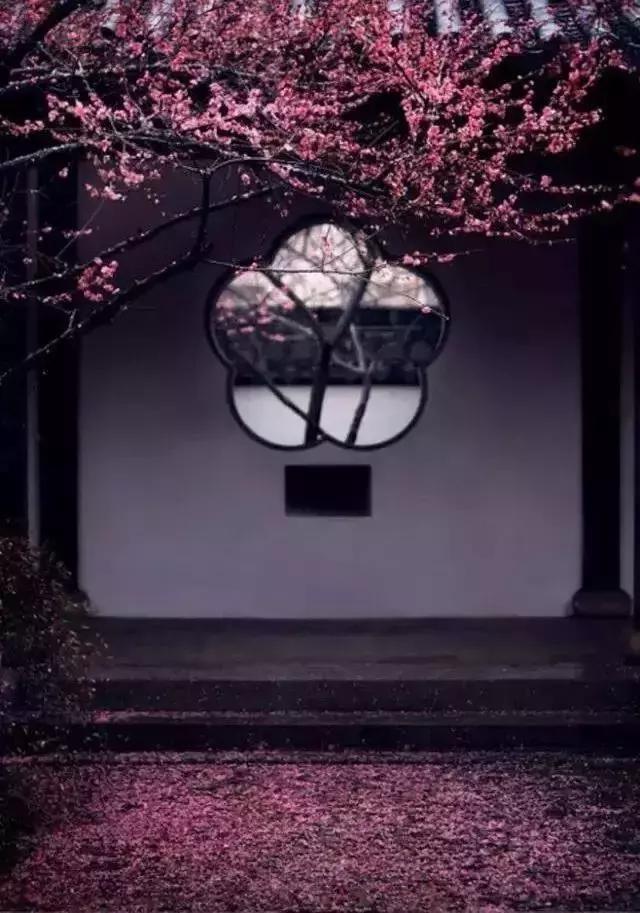 這樣的院子，只有中國人駕馭得了它！
