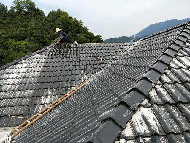 30元一平的樹脂瓦省錢又耐用？網(wǎng)友：吃飽沒事干，用一年就得換