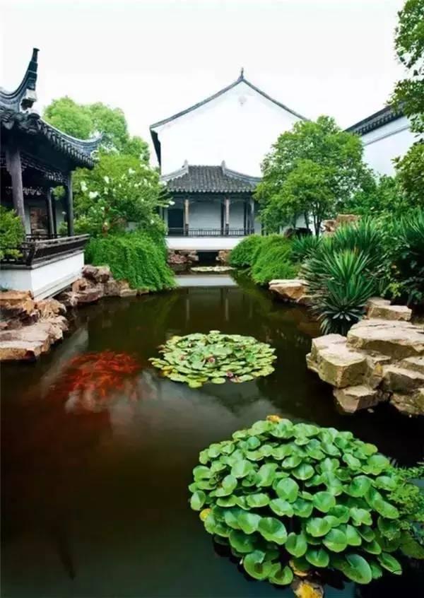 小院回廊，一步一景！